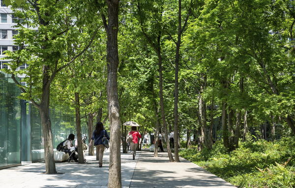 大手町の森