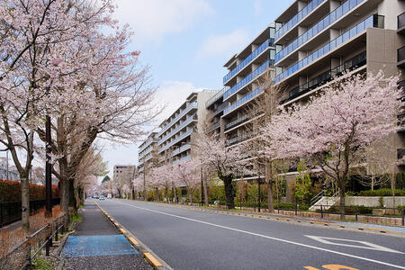 「さくら通り沿いの南側外観」