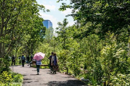 先行地区の「樹林帯」