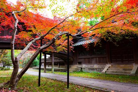 向日市賞「向日神社の衣替え」
