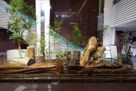 東京建物八重洲ビル地下2階「木庭 MOKUTEI」