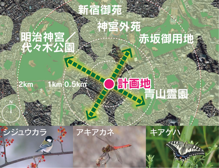 半径2km圏内の大規模緑地と誘引想定の生物例