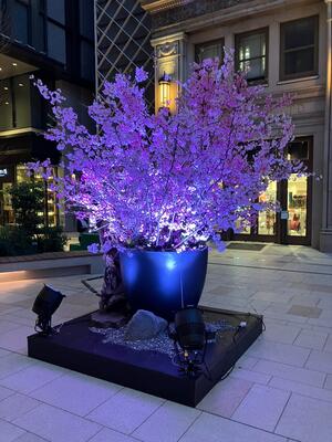 昨年実施の様子